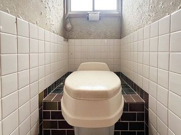 imgi_22_image