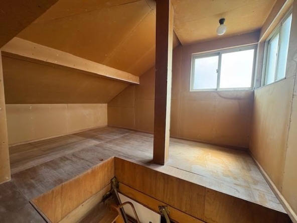 imgi_11_78268154_0007