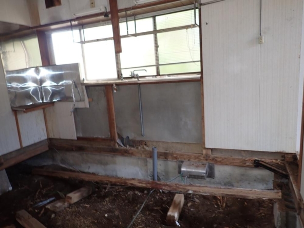 imgi_7_76654556_0004