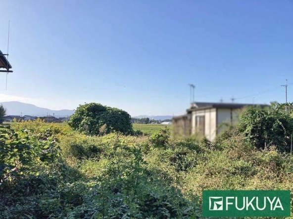 imgi_16_78614579_0010