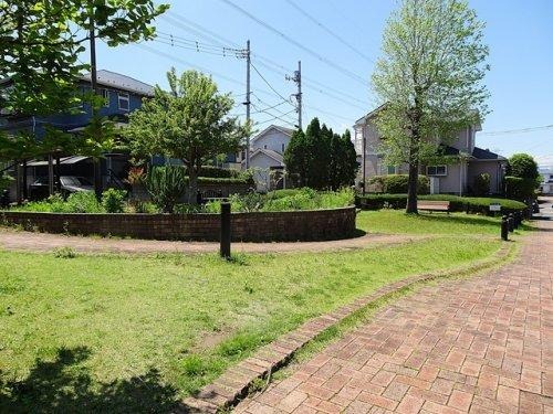 imgi_17_78133551_0017