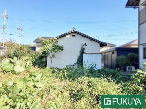 imgi_17_78614579_0011