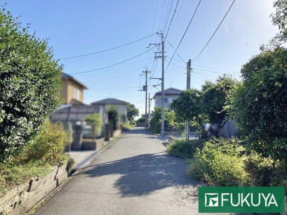 imgi_18_78614579_0013