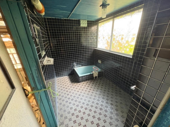 imgi_7_78525129_0008