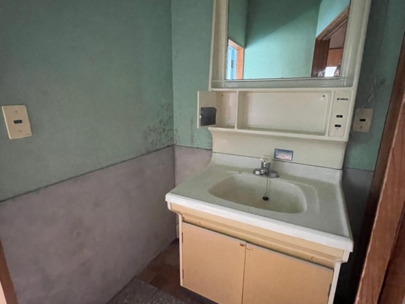 imgi_11_78541935_0013