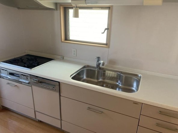 imgi_18_77474141_0007