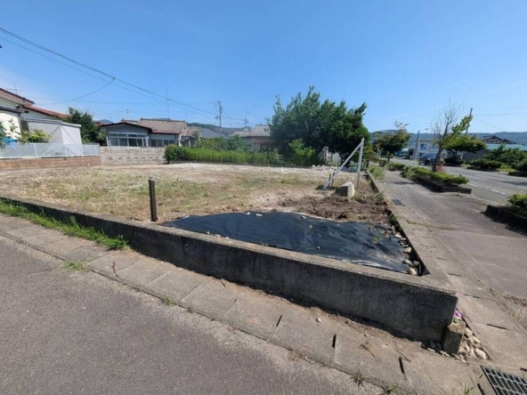 imgi_19_78103044_0017