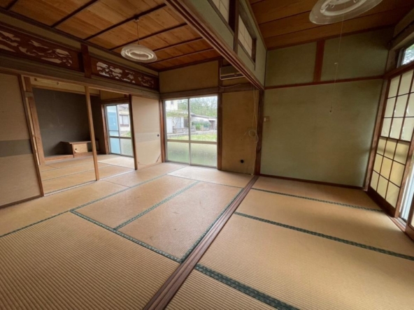 imgi_5_78541935_0007