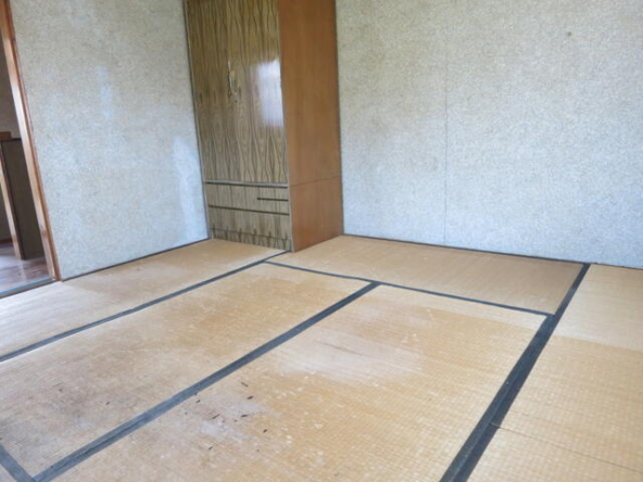 imgi_113_1745303199_640x480