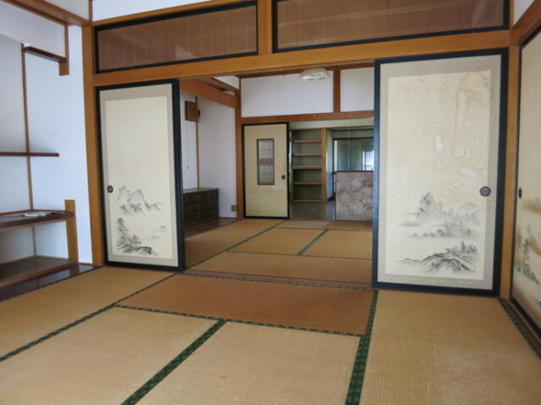 imgi_114_1745303201_640x480