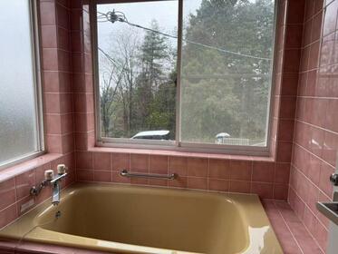 imgi_115_1939892968_373x280