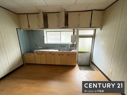 imgi_11_1876861615_500x375