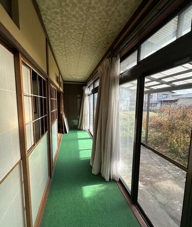 imgi_11_1941251196_375x500