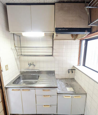 imgi_13_1943318527_376x500