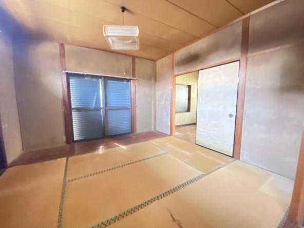 imgi_15_8f337063-108c-43e8-a5ec-d150bec0a2c3