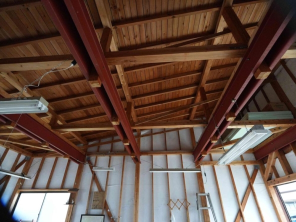 imgi_16_79071696_0245