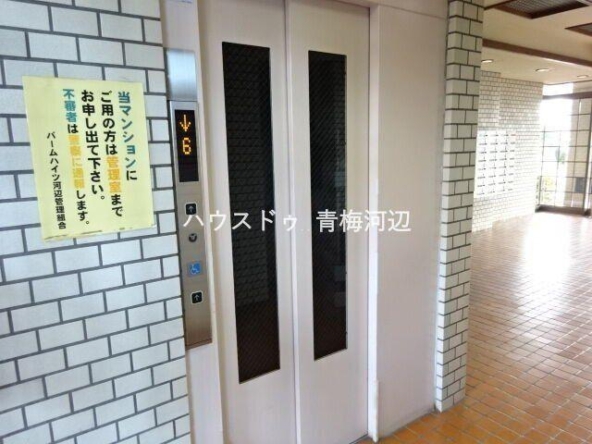 imgi_17_79067005_0015