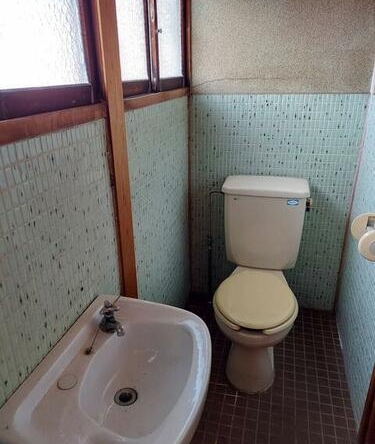 imgi_18_1815349863_375x500