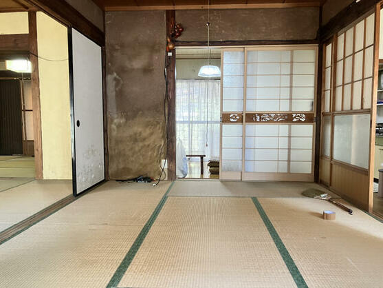 imgi_19_1771599370_557x418