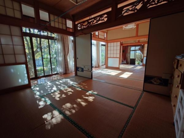 imgi_19_73833117_0050