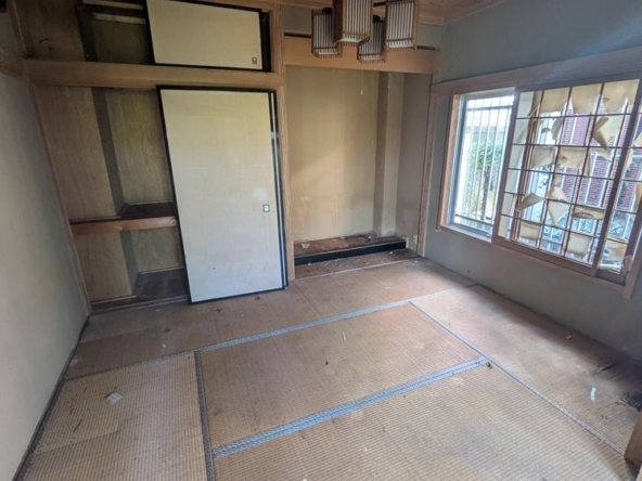 imgi_19_78387317_0011