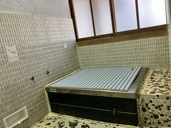 imgi_21_1771599409_557x418