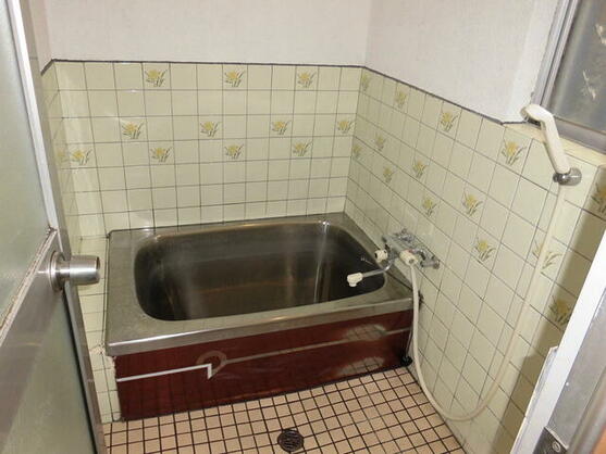 imgi_21_1811517410_557x418