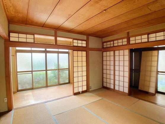 imgi_21_1901786672_557x418