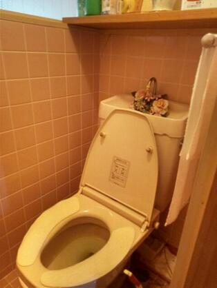 imgi_21_1908670797_314x418