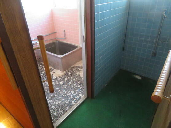 imgi_21_1911563195_557x418