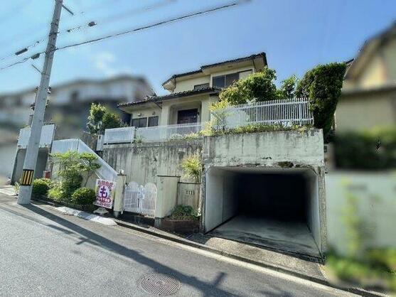 imgi_24_1870105641_557x418