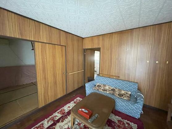 imgi_24_1896980776_557x418