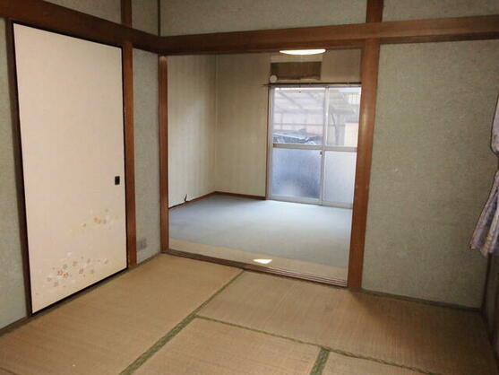 imgi_25_1811517731_557x418