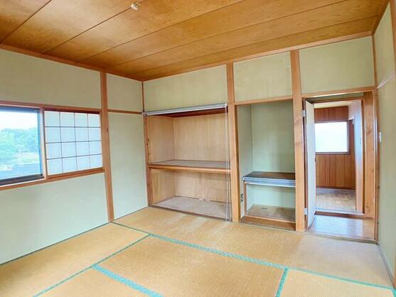 imgi_25_1901786861_557x418