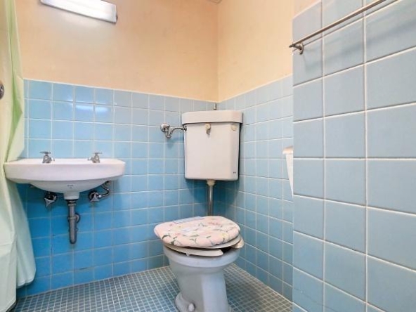 imgi_59_1828413876_600x449