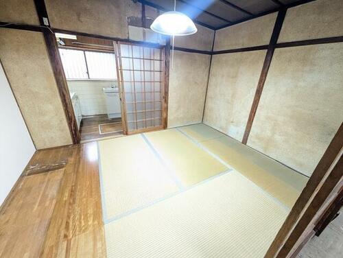 imgi_5_1943318829_500x376