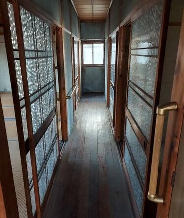 imgi_6_1815349688_375x500