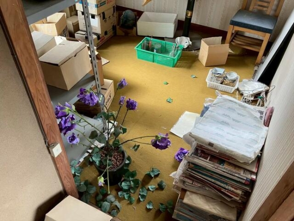 imgi_113_1943259116_640x480