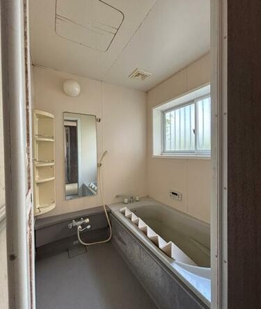 imgi_12_1901974623_375x500