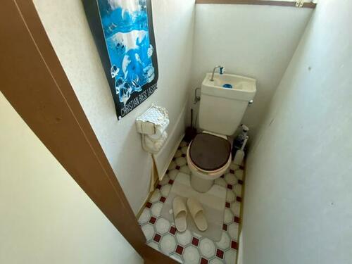 imgi_13_1942060976_500x375