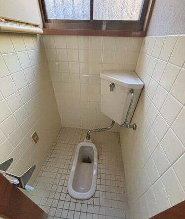 imgi_16_1847506239_375x500