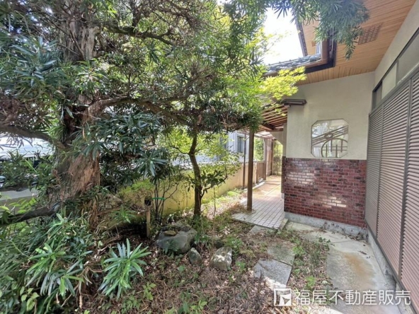 imgi_19_75712842_0018