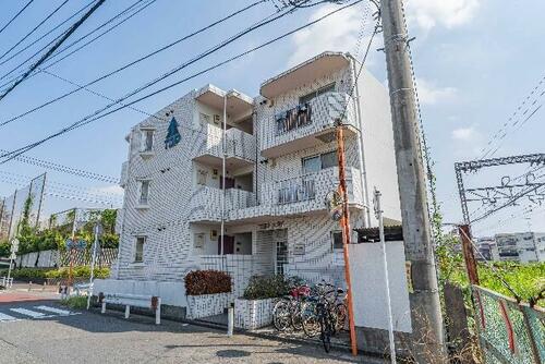 imgi_4_1901850245_500x334