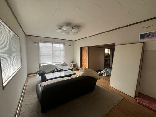 imgi_4_1943263742_500x375