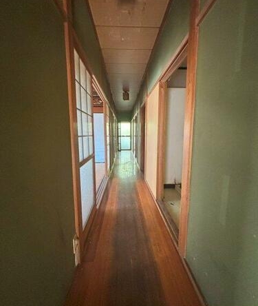 imgi_5_1847506176_375x500