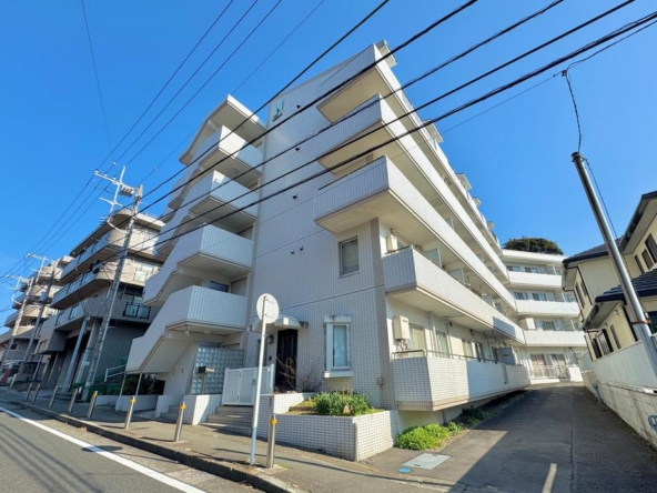 imgi_67_20223312_0001