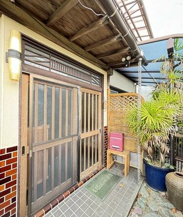 imgi_7_1923398111_375x500