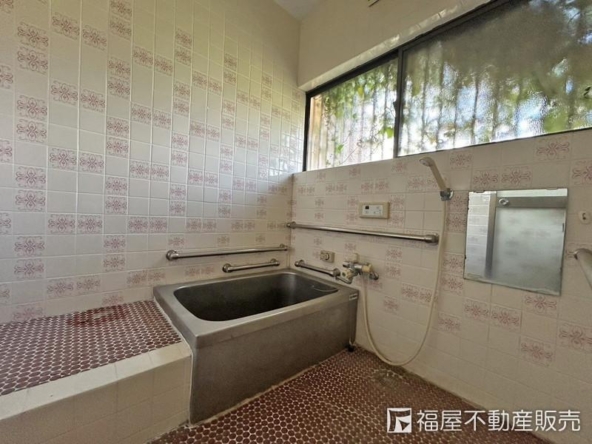 imgi_8_75712842_0011