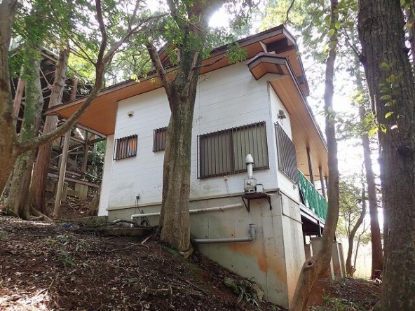 imgi_106_1969440203_640x480