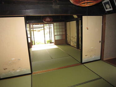 imgi_115_1874992671_373x280